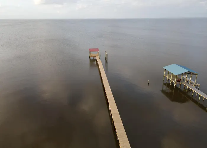 Dolphin Watch For Lasting Memories Holiday home