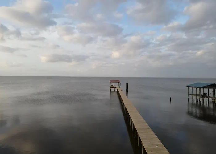Dolphin Watch For Lasting Memories