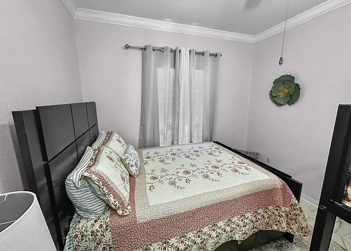 Dolphin Watch For Lasting Memories Holiday home